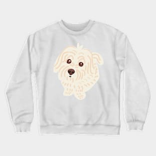 Cute Maltipoo Looking Innocent Crewneck Sweatshirt